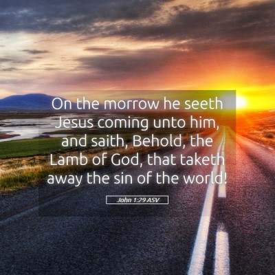 Picture 05 - John 1:29 ASV - On the morrow he seeth Jesus coming unto him, and - Bible Verse Picture
