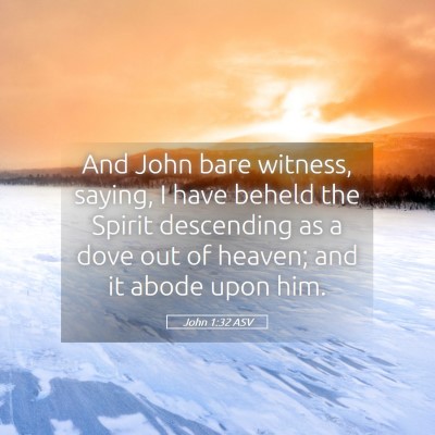 Picture 05 - John 1:32 ASV - And John bare witness, saying, I have beheld the - Bible Verse Picture