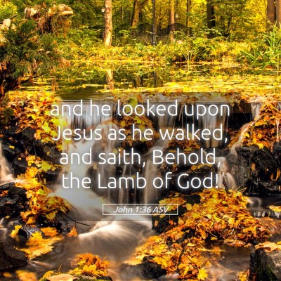 Picture 05 - John 1:36 ASV - and he looked upon Jesus as he walked, and saith, - Bible Verse Picture