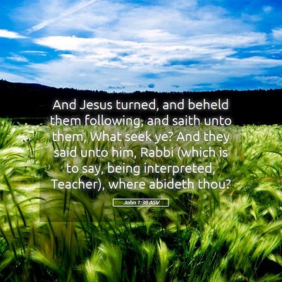 Picture 05 - John 1:38 ASV - And Jesus turned, and beheld them following, and - Bible Verse Picture