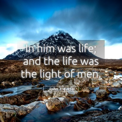 Picture 05 - John 1:4 ASV - In him was life; and the life was the light of - Bible Verse Picture