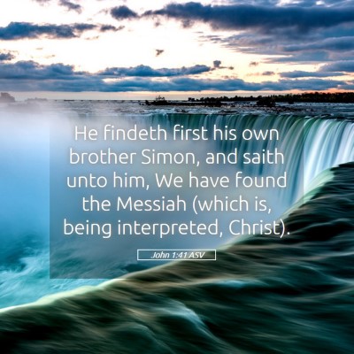Picture 05 - John 1:41 ASV - He findeth first his own brother Simon, and saith - Bible Verse Picture