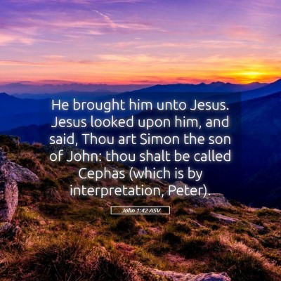 Picture 05 - John 1:42 ASV - He brought him unto Jesus. Jesus looked upon him, - Bible Verse Picture