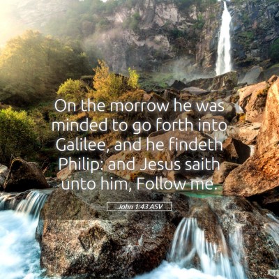 Picture 05 - John 1:43 ASV - On the morrow he was minded to go forth into - Bible Verse Picture