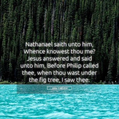 Picture 05 - John 1:48 ASV - Nathanael saith unto him, Whence knowest thou me? - Bible Verse Picture