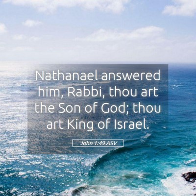 Picture 05 - John 1:49 ASV - Nathanael answered him, Rabbi, thou art the Son - Bible Verse Picture