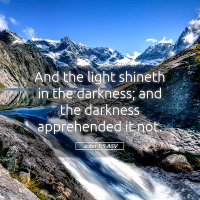 Picture 05 - John 1:5 ASV - And the light shineth in the darkness; and the - Bible Verse Picture
