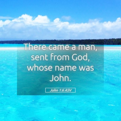 Picture 05 - John 1:6 ASV - There came a man, sent from God, whose name was - Bible Verse Picture
