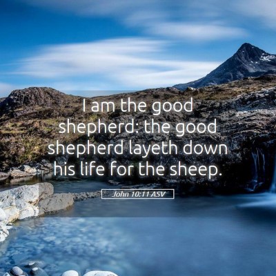 Picture 05 - John 10:11 ASV - I am the good shepherd: the good shepherd layeth - Bible Verse Picture