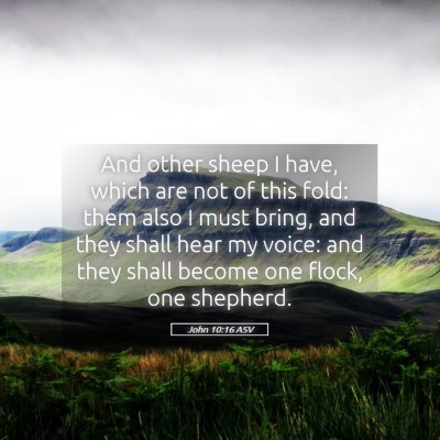 Picture 05 - John 10:16 ASV - And other sheep I have, which are not of this - Bible Verse Picture