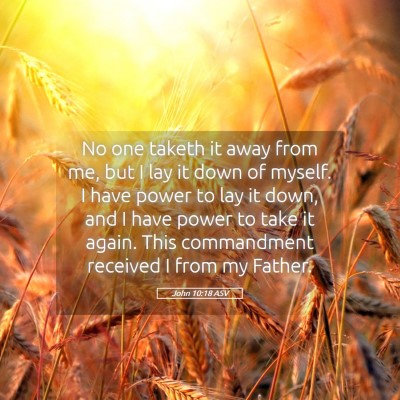Picture 05 - John 10:18 ASV - No one taketh it away from me, but I lay it down - Bible Verse Picture