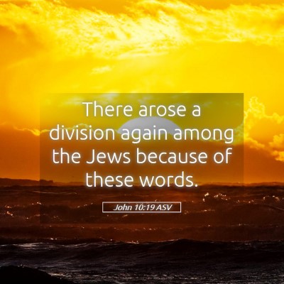 Picture 05 - John 10:19 ASV - There arose a division again among the Jews - Bible Verse Picture