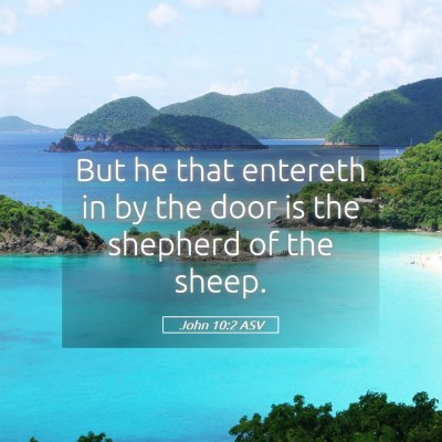 Picture 05 - John 10:2 ASV - But he that entereth in by the door is the - Bible Verse Picture