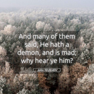 Picture 05 - John 10:20 ASV - And many of them said, He hath a demon, and is - Bible Verse Picture