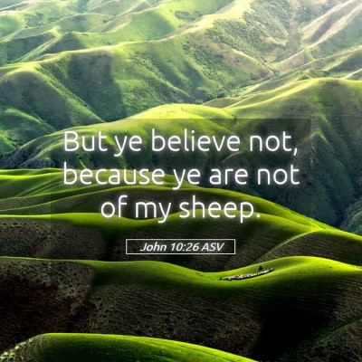 Picture 05 - John 10:26 ASV - But ye believe not, because ye are not of my - Bible Verse Picture