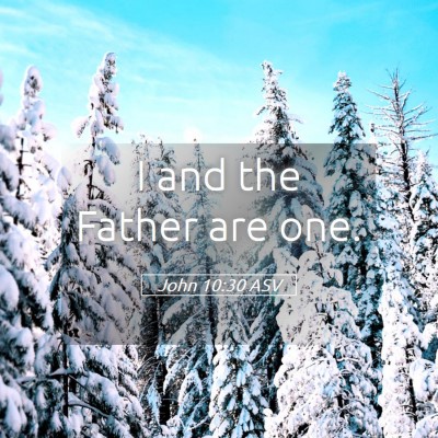 Picture 05 - John 10:30 ASV - I and the Father are - Bible Verse Picture
