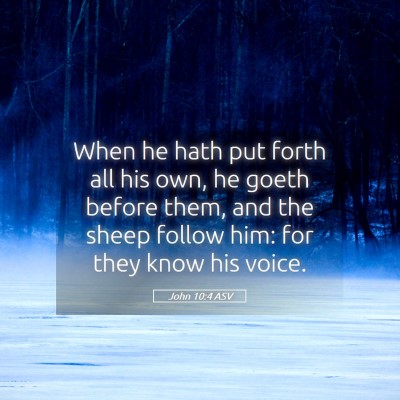 Picture 05 - John 10:4 ASV - When he hath put forth all his own, he goeth - Bible Verse Picture