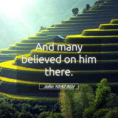 Picture 05 - John 10:42 ASV - And many believed on him - Bible Verse Picture