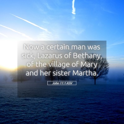 Picture 05 - John 11:1 ASV - Now a certain man was sick, Lazarus of Bethany, - Bible Verse Picture
