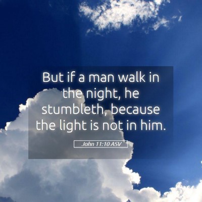 Picture 05 - John 11:10 ASV - But if a man walk in the night, he stumbleth, - Bible Verse Picture