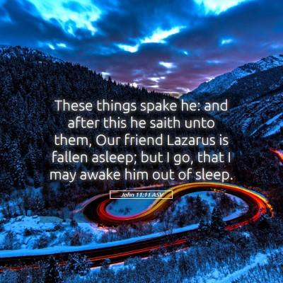 Picture 05 - John 11:11 ASV - These things spake he: and after this he saith - Bible Verse Picture