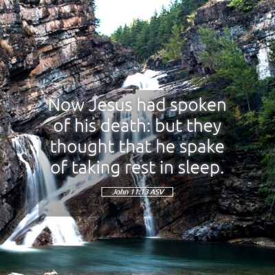Picture 05 - John 11:13 ASV - Now Jesus had spoken of his death: but they - Bible Verse Picture