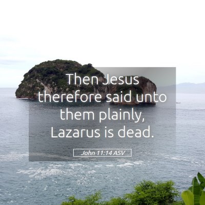 Picture 05 - John 11:14 ASV - Then Jesus therefore said unto them plainly, - Bible Verse Picture
