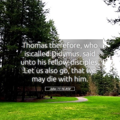 Picture 05 - John 11:16 ASV - Thomas therefore, who is called Didymus, said - Bible Verse Picture
