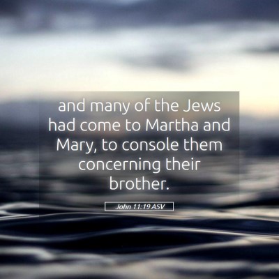 Picture 05 - John 11:19 ASV - and many of the Jews had come to Martha and Mary, - Bible Verse Picture