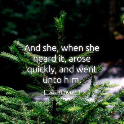 Picture 05 - John 11:29 ASV - And she, when she heard it, arose quickly, and - Bible Verse Picture