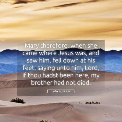 Picture 05 - John 11:32 ASV - Mary therefore, when she came where Jesus was, - Bible Verse Picture