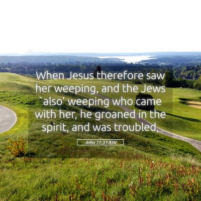 Picture 05 - John 11:33 ASV - When Jesus therefore saw her weeping, and the - Bible Verse Picture