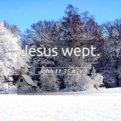 Picture 05 - John 11:35 ASV - Jesus - Bible Verse Picture