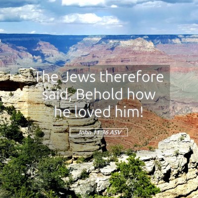 Picture 05 - John 11:36 ASV - The Jews therefore said, Behold how he loved - Bible Verse Picture