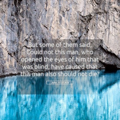 Picture 05 - John 11:37 ASV - But some of them said, Could not this man, who - Bible Verse Picture