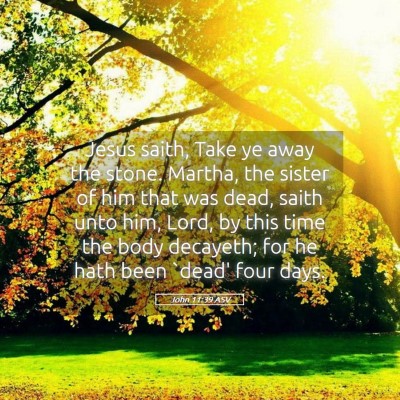 Picture 05 - John 11:39 ASV - Jesus saith, Take ye away the stone. Martha, the - Bible Verse Picture