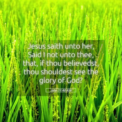 Picture 05 - John 11:40 ASV - Jesus saith unto her, Said I not unto thee, that, - Bible Verse Picture