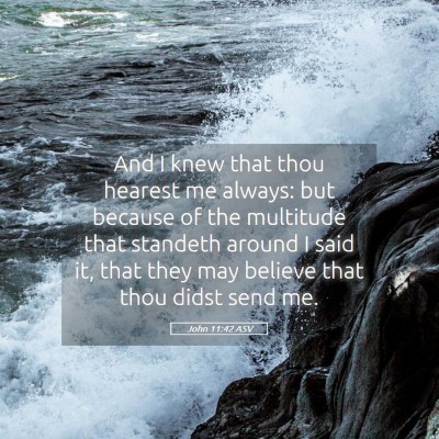 Picture 05 - John 11:42 ASV - And I knew that thou hearest me always: but - Bible Verse Picture