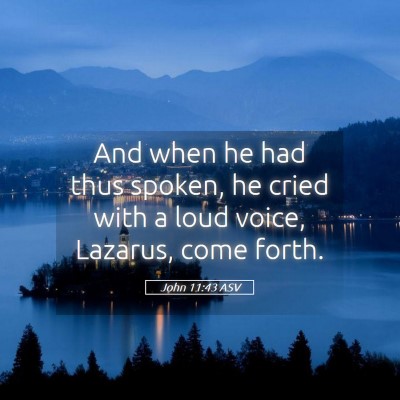 Picture 05 - John 11:43 ASV - And when he had thus spoken, he cried with a loud - Bible Verse Picture