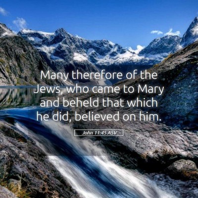 Picture 05 - John 11:45 ASV - Many therefore of the Jews, who came to Mary and - Bible Verse Picture
