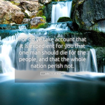 Picture 05 - John 11:50 ASV - nor do ye take account that it is expedient for - Bible Verse Picture