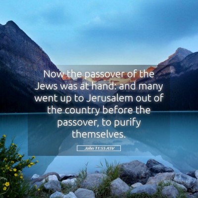 Picture 05 - John 11:55 ASV - Now the passover of the Jews was at hand: and - Bible Verse Picture