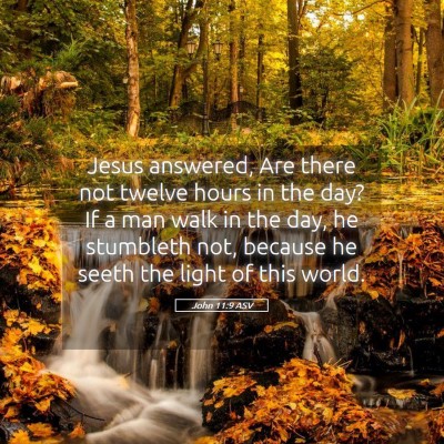 Picture 05 - John 11:9 ASV - Jesus answered, Are there not twelve hours in the - Bible Verse Picture
