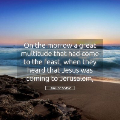 Picture 05 - John 12:12 ASV - On the morrow a great multitude that had come to - Bible Verse Picture