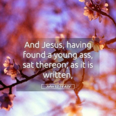 Picture 05 - John 12:14 ASV - And Jesus, having found a young ass, sat thereon; - Bible Verse Picture