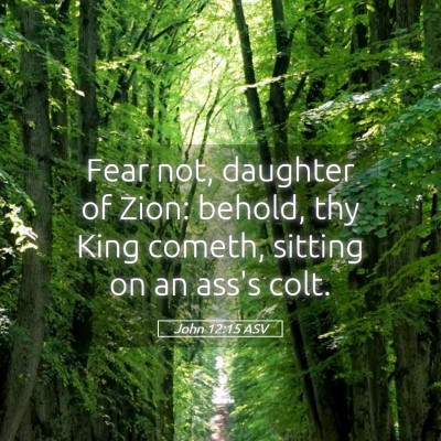 Picture 05 - John 12:15 ASV - Fear not, daughter of Zion: behold, thy King - Bible Verse Picture