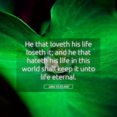 Picture 05 - John 12:25 ASV - He that loveth his life loseth it; and he that - Bible Verse Picture