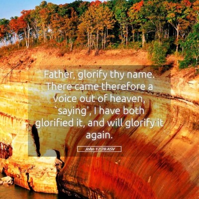 Picture 05 - John 12:28 ASV - Father, glorify thy name. There came therefore a - Bible Verse Picture