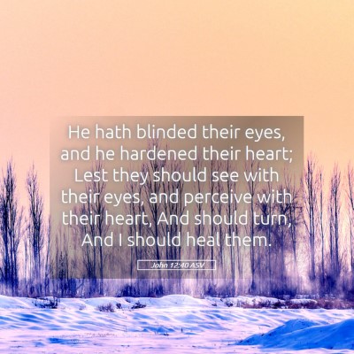 Picture 05 - John 12:40 ASV - He hath blinded their eyes, and he hardened their - Bible Verse Picture