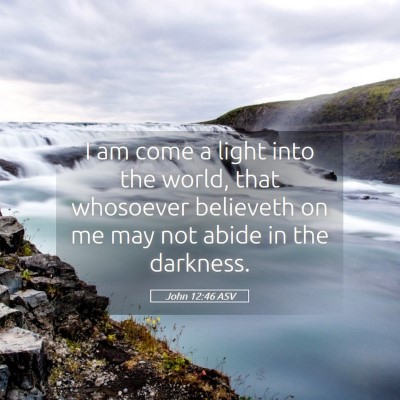 Picture 05 - John 12:46 ASV - I am come a light into the world, that whosoever - Bible Verse Picture